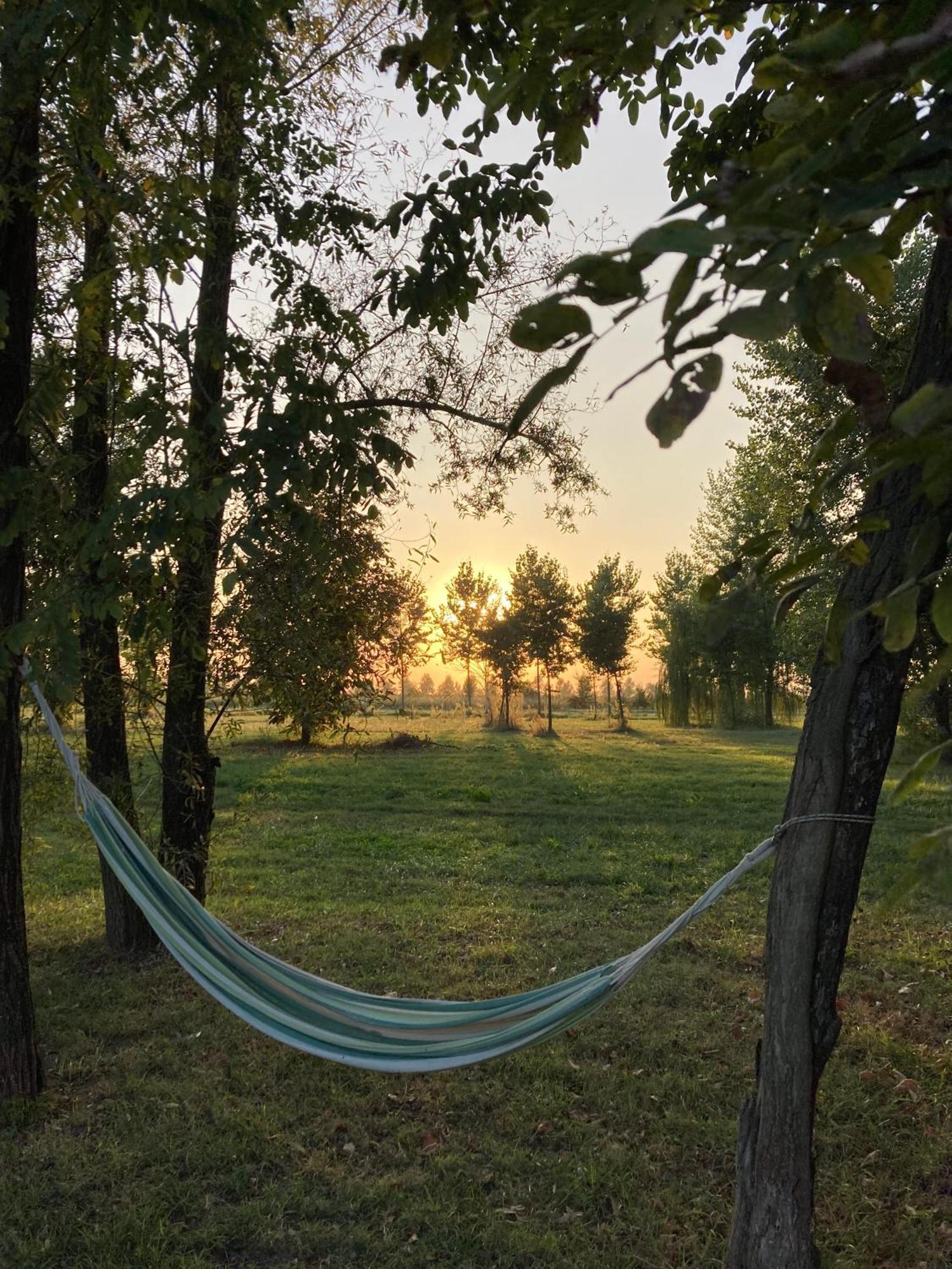 Agriturismo Corte Carezzabella San Martino di Venezze Εξωτερικό φωτογραφία