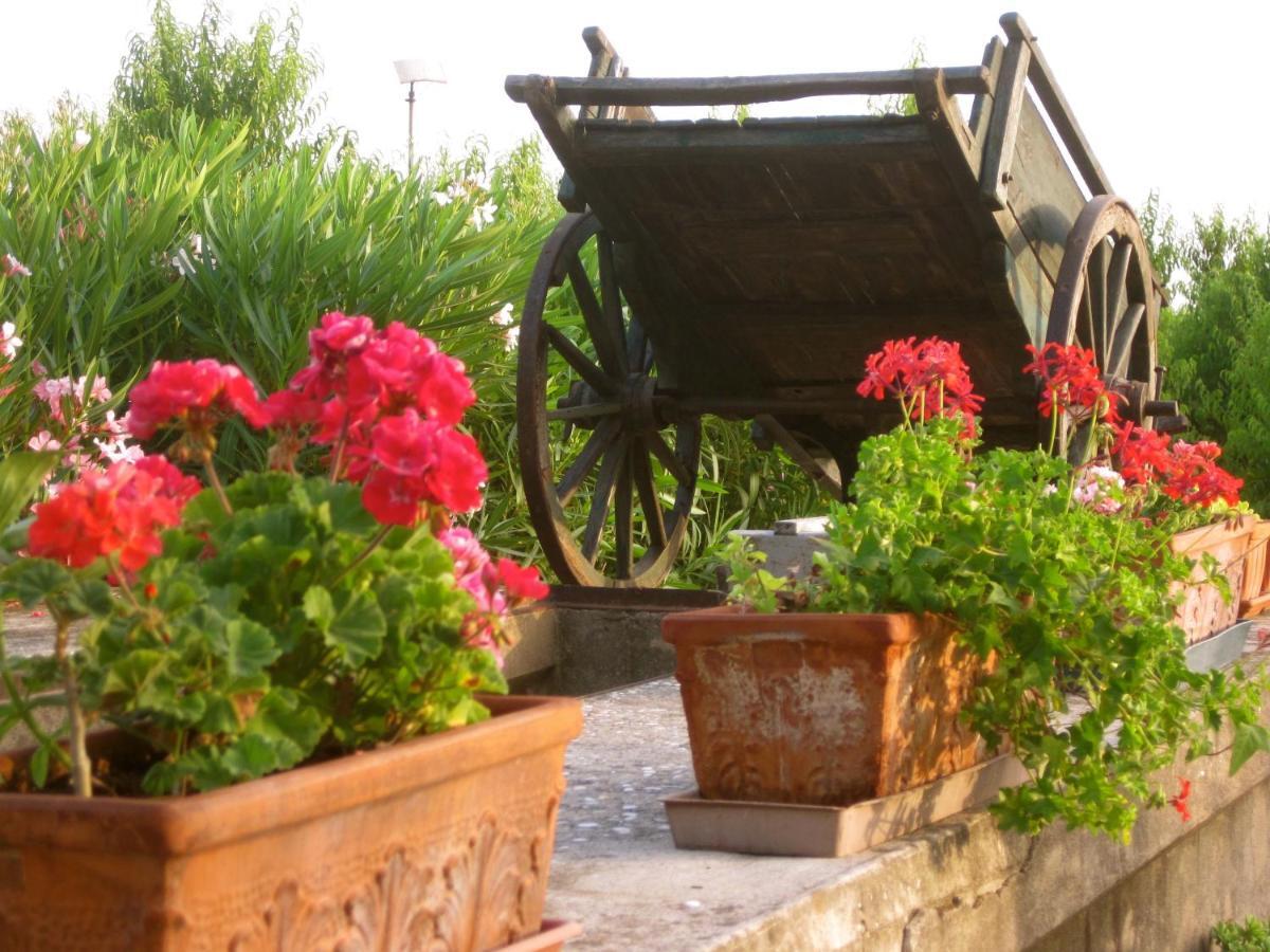 Agriturismo Corte Carezzabella San Martino di Venezze Εξωτερικό φωτογραφία