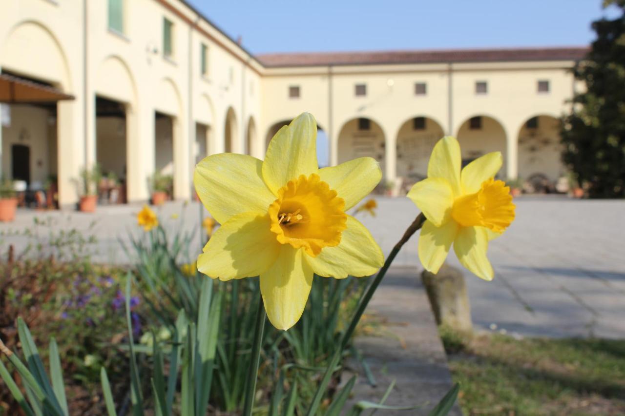 Agriturismo Corte Carezzabella San Martino di Venezze Εξωτερικό φωτογραφία