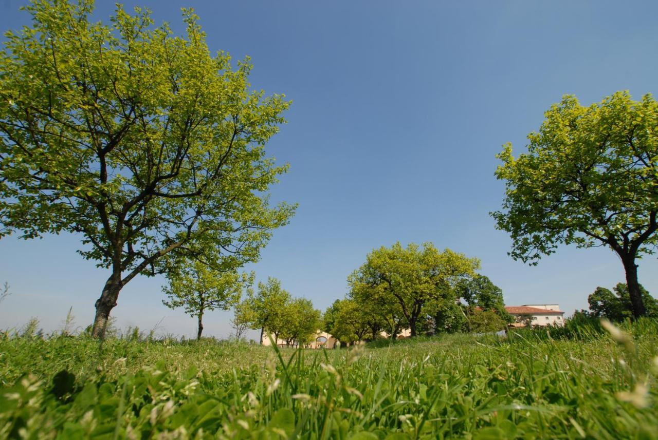 Agriturismo Corte Carezzabella San Martino di Venezze Εξωτερικό φωτογραφία